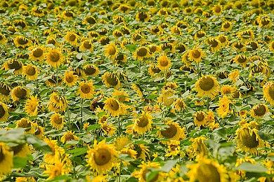 《最终幻想10》将推出改编歌舞伎 2023年春日本上演